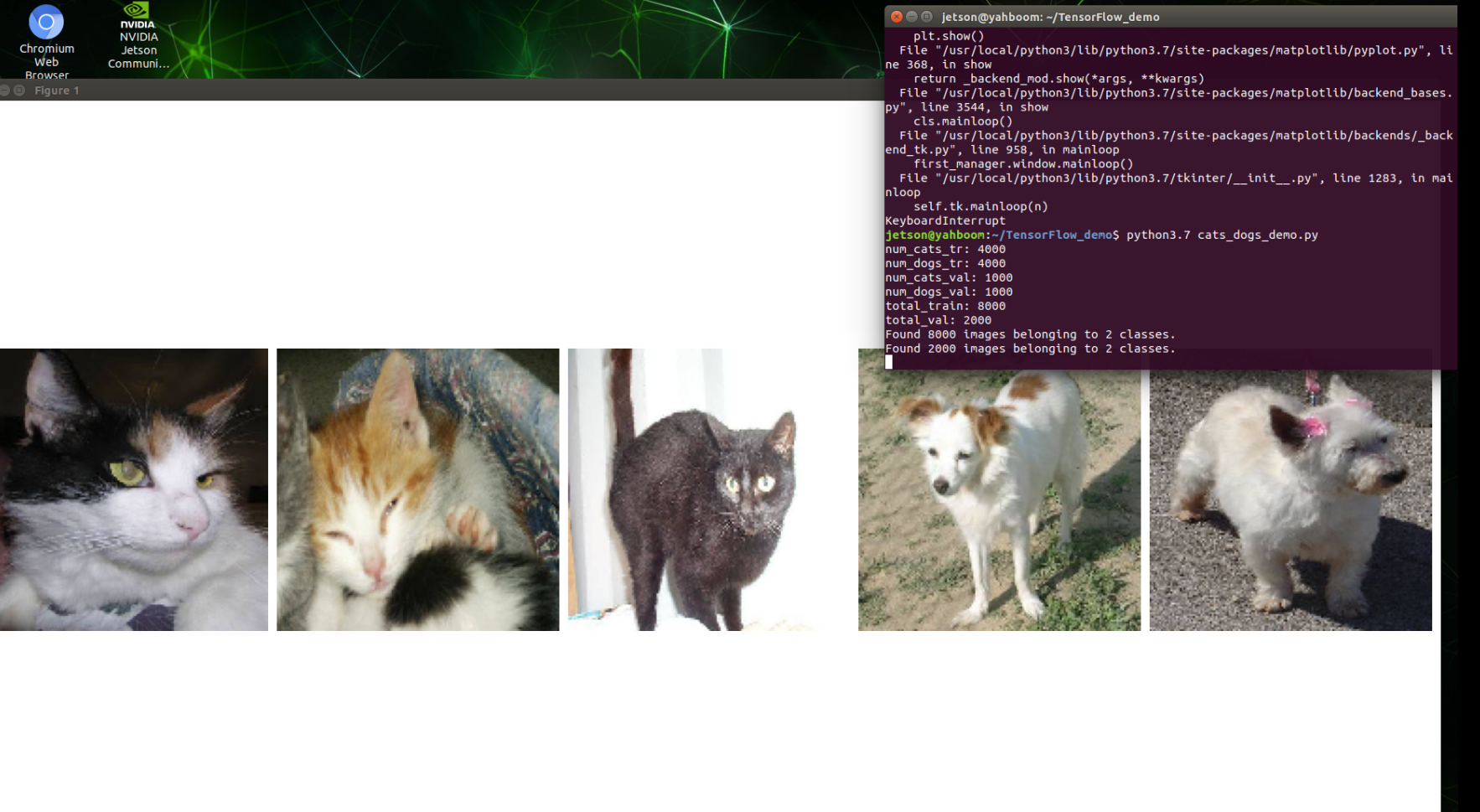 image-20220228121929519