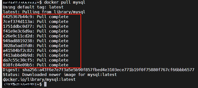 image-20230424154810939