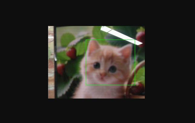 image-20241227193635757