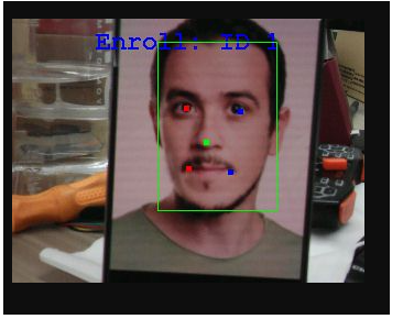 image-20241230103928349