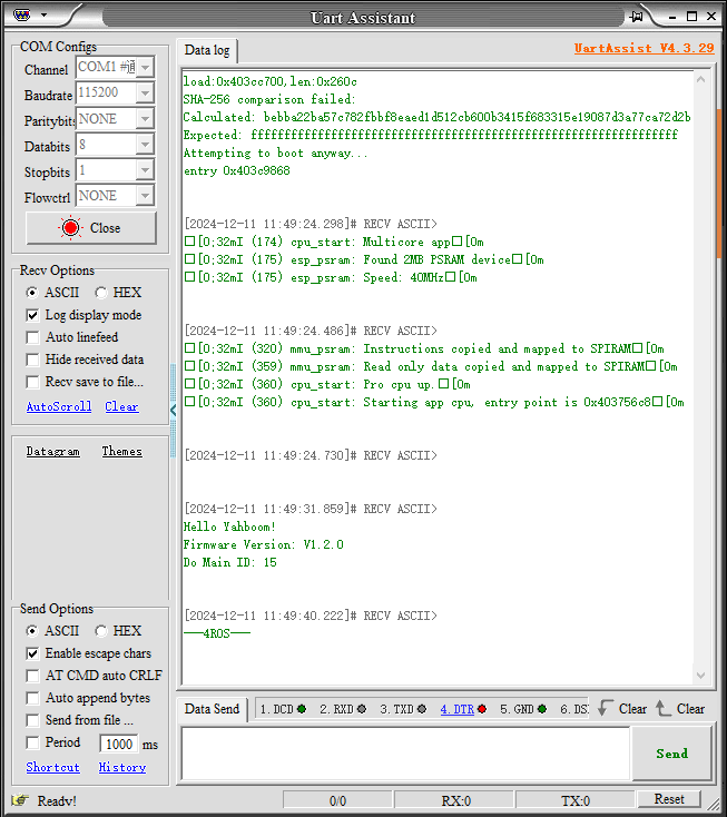 image-20241211114949021