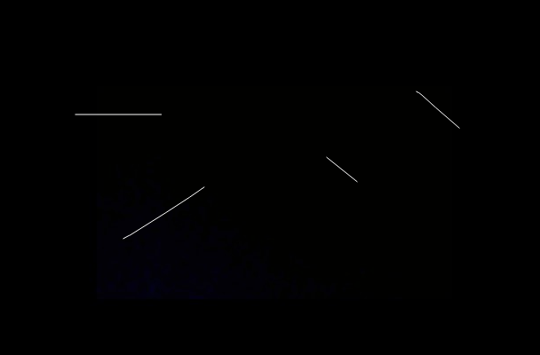image-20250211100907523