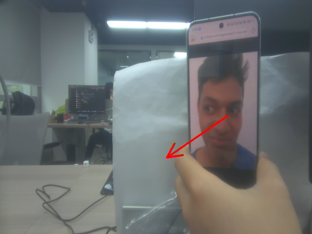 gazefollow
