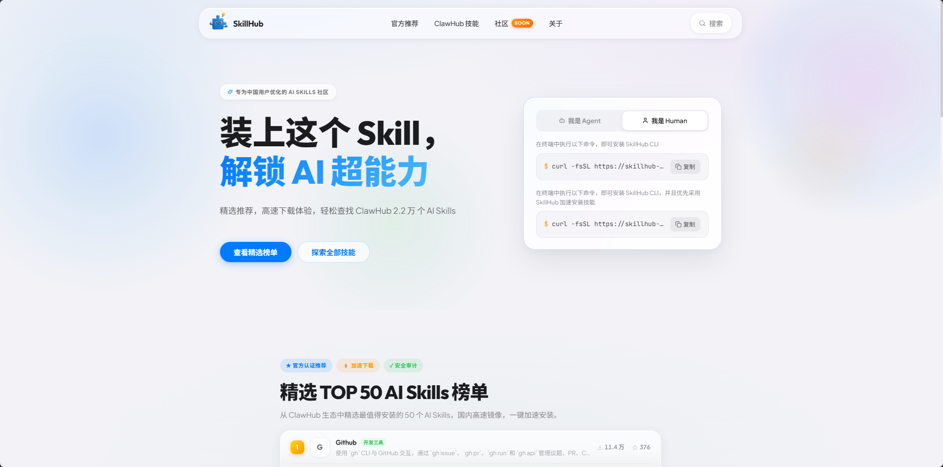 SkillHub website homepage